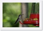 IMG_6039 * 3888 x 2592 * (2.83MB)